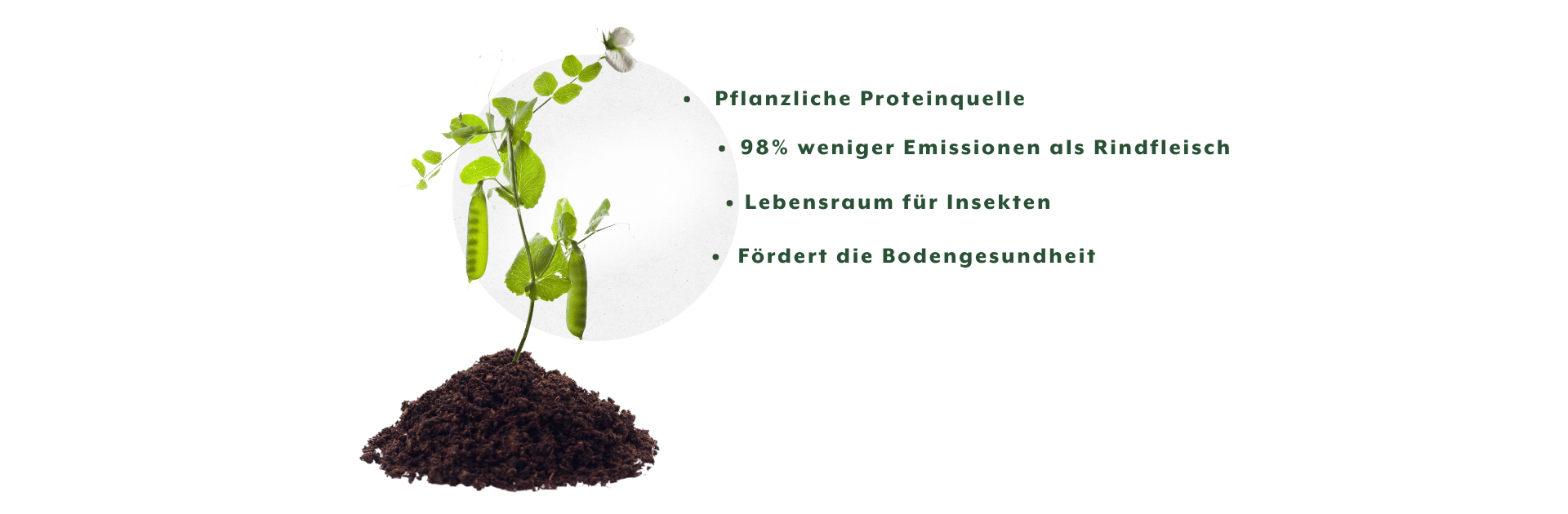 Vorteile von Hülsenfrüchten im Anbau