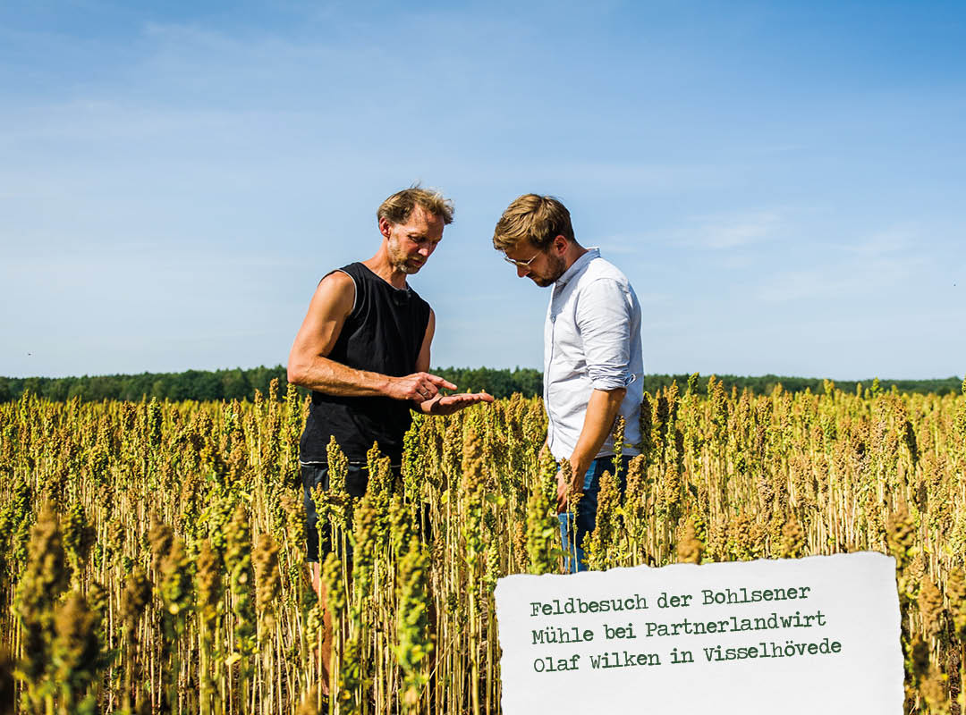 Vollkorn-Quinoa-Salat mit roter Beete