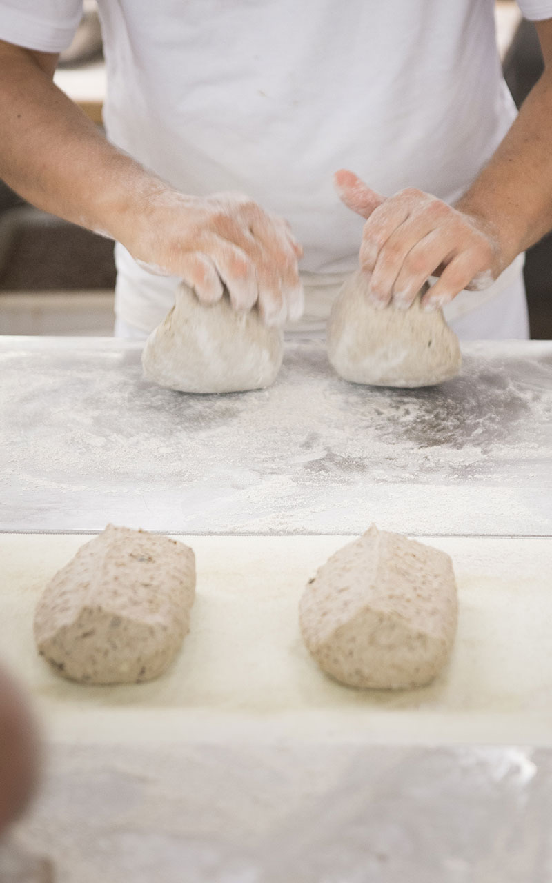 Sauerteig wird vom Bäcker verarbeitet