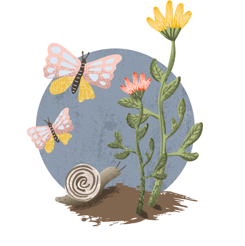 Grafik Insektenschutz