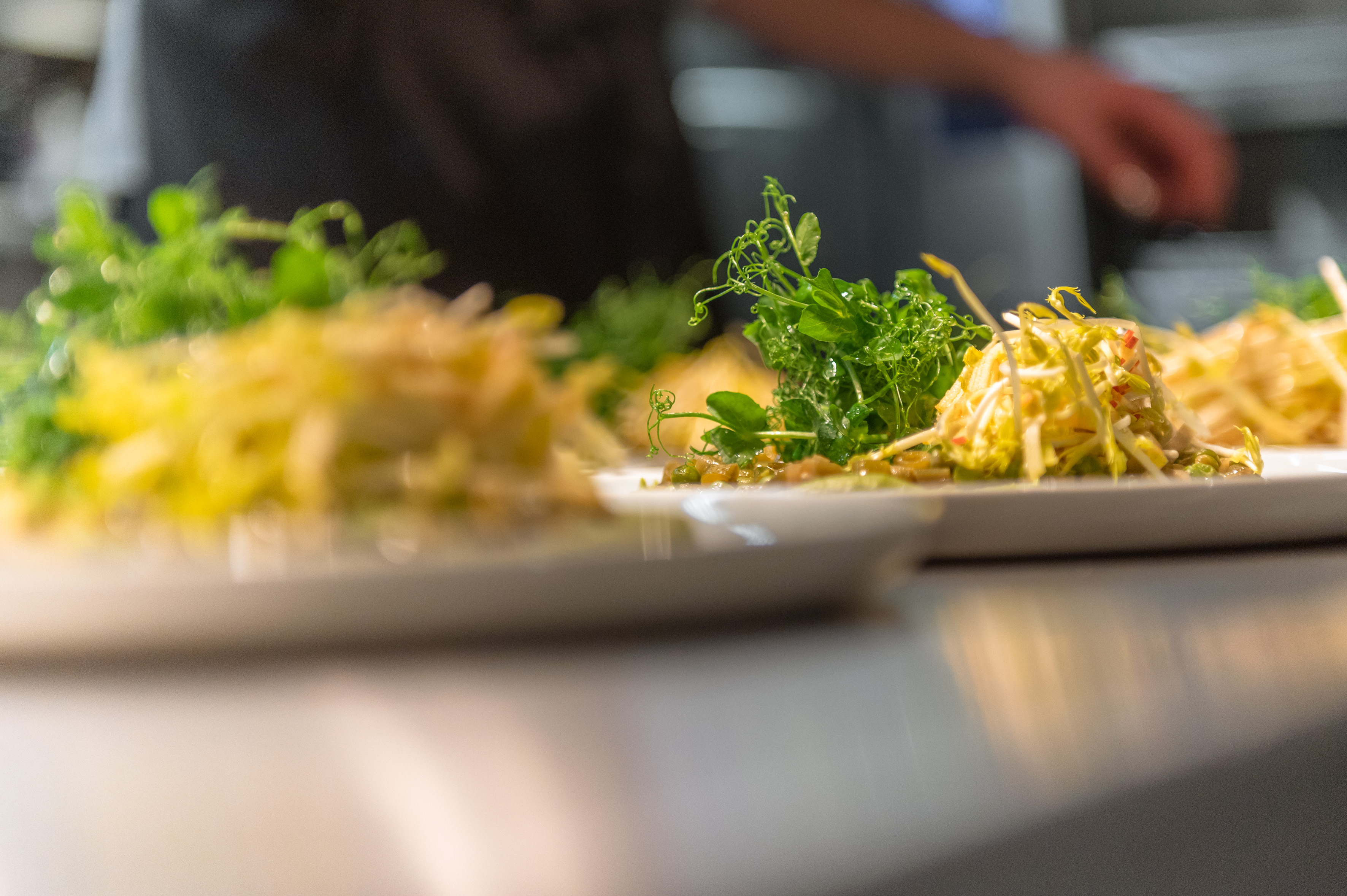 Essen im Foodlab der Bohlsener Mühle